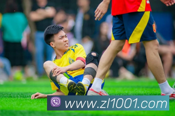 尊龙凯时人生就是博APP 封面图
